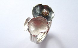 Schotels 0001